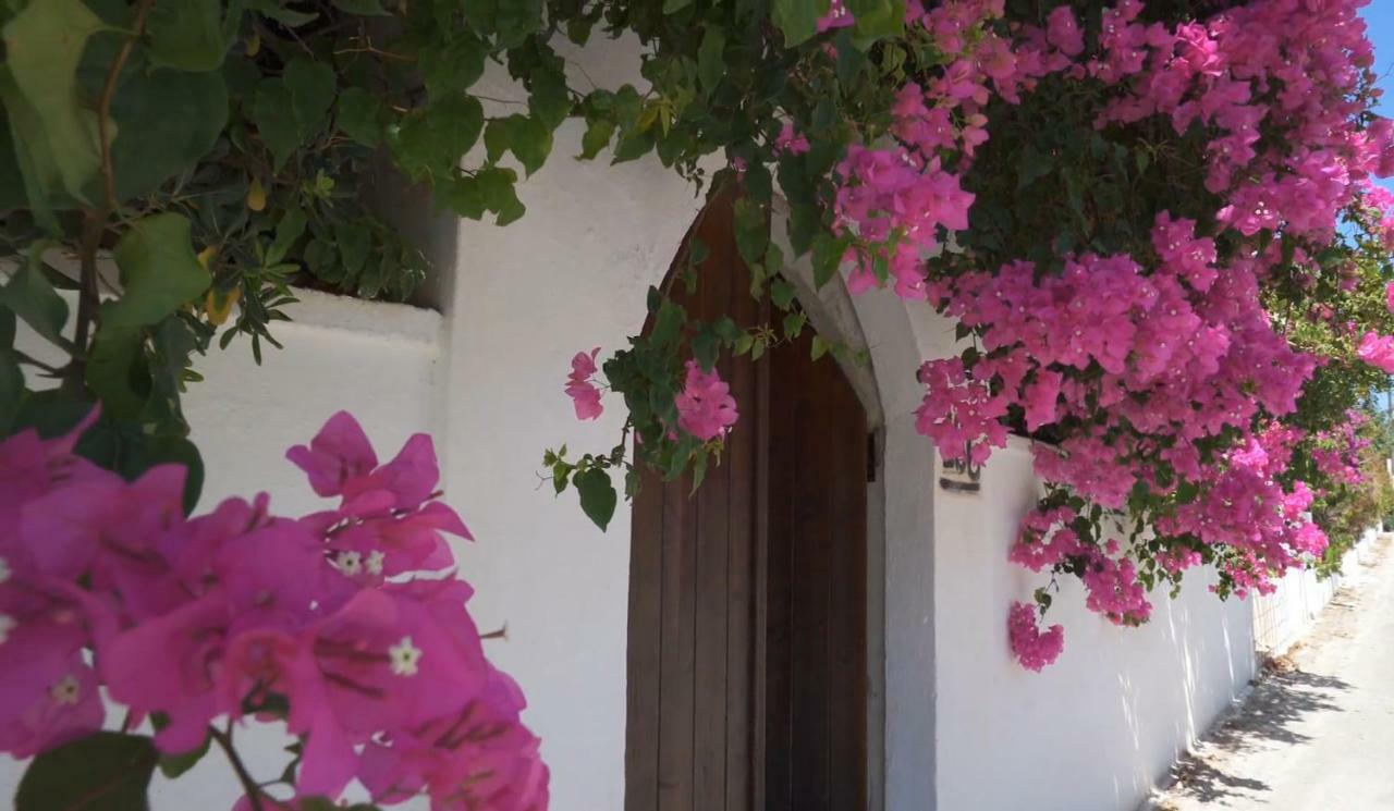 Alexiszorba Villa Plaka (Apokoronas) Exterior foto